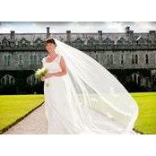 Kathy McGlade's photo