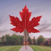 Russ Thomson's photo