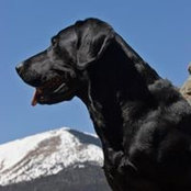 Michele Appel's photo