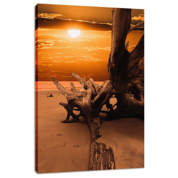 Vertical Coastal Art: Driftwood Sunrise 2 Landscape Photo Canvas, 12" X 16"
