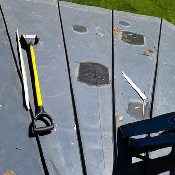 Wellesley Carlisle TPO Roof System