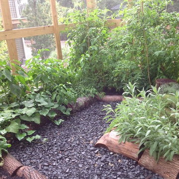 Highland Park, NJ. Certified NWF Natural Backyard Habitat