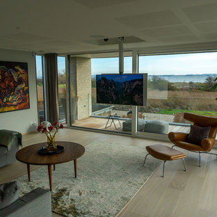 Minimalist home theater photo in Aarhus