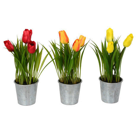 9.5" Asstorted Tulip in Metal Pot, Set of 3