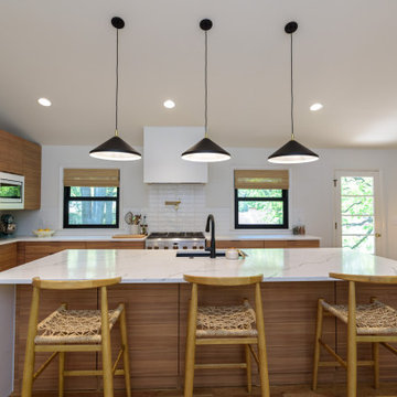 Whole House Remodel