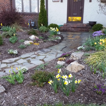 First spring