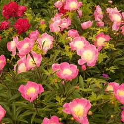Planting - Outdoor Products