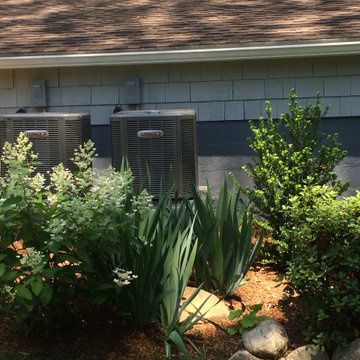 Garden Near the Beach