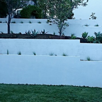 Drought Tolerant Design