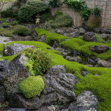 gardens