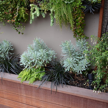 Raised Vegetable / Ornamental Garden