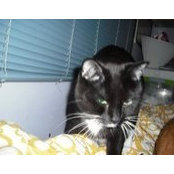 Erin McCrum's photo