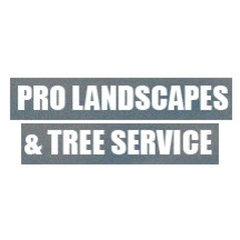 Pro Landscapes & Tree Service