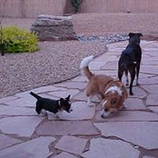 Candace Mathews's photo