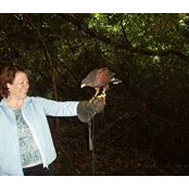 Julie Dalsoglio's photo