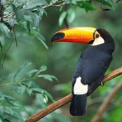 Jose Sylva's photo