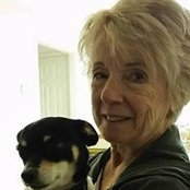 Joan Moyle's photo