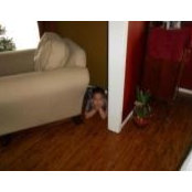 Debbie Kolenda's photo