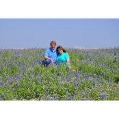 Donna Lintz's photo