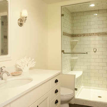 Mt Baker Basement Remodel