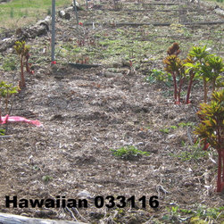 Re-opening Spring 2016  Weekends beginning April 16, 2016 - Products