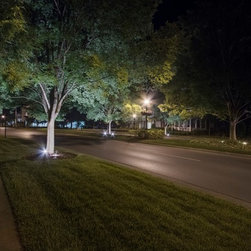Outdoor Lighting in Westhave - Landscape Lighting