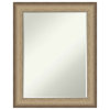 Elegant Brushed Bronze Petite Bevel Wall Mirror 22.75 x 28.75 in.