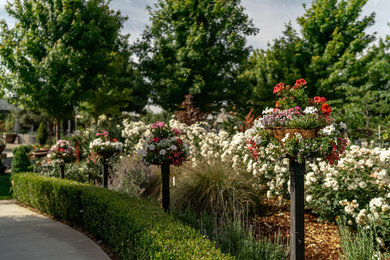Photo of a traditional full sun backyard garden path in Other.