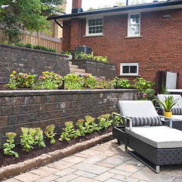 Back yard Oasis