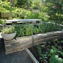Patio Ideas