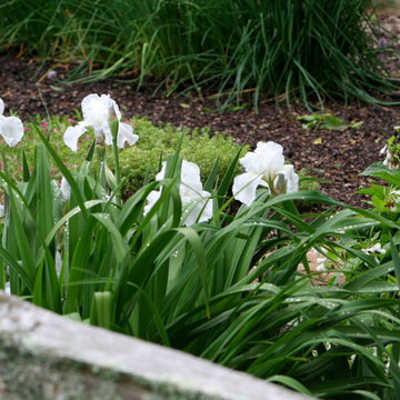 Favorite Spring Flowers