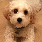 Joanne Kellett's photo