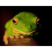 Greg Gorman's photo