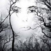 Debbie McLean's photo