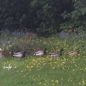 Phil Crookes's photo