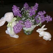 Sue Mackinder Kopitz's photo