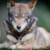 Jen Nzeza's photo