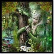 Tammy Heffner's photo