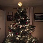 Becky Gallant's photo
