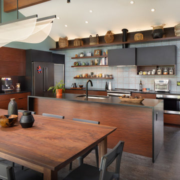 Mid-Century Modern Update