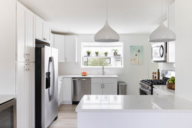 Kitchen - contemporary kitchen idea in Detroit
