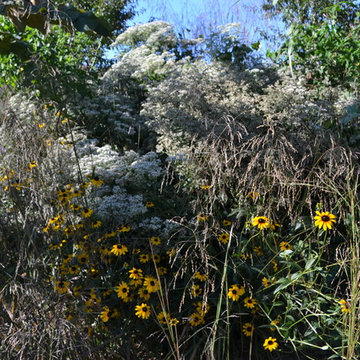 Lake Claire Community Land Trust Meadow