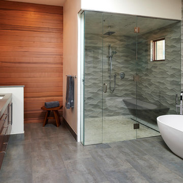 Cherry Hills Village Contemporary