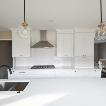 Arlington Heights Blue and White Kitchen