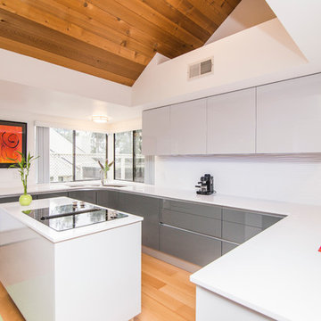 NEW 2016 - Integra kitchen by Pedini - Encinitas, CA