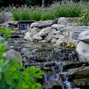 Stream and Koi Pond