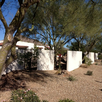 Fence Ideas