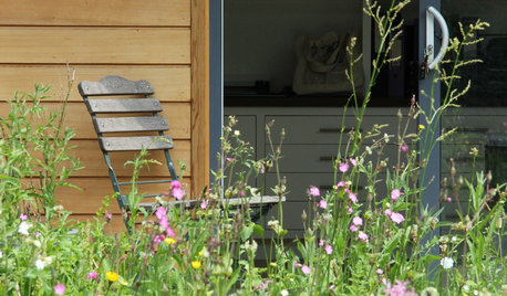 How to Create a Spirit-lifting Sensory Garden