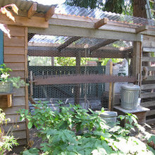 Chicken coops