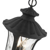Textured Black Traditional, Victorian, Sculptural, Outdoor Pendant Lantern